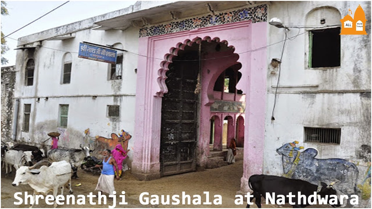 Shreenathji Gaushala at Nathdwara